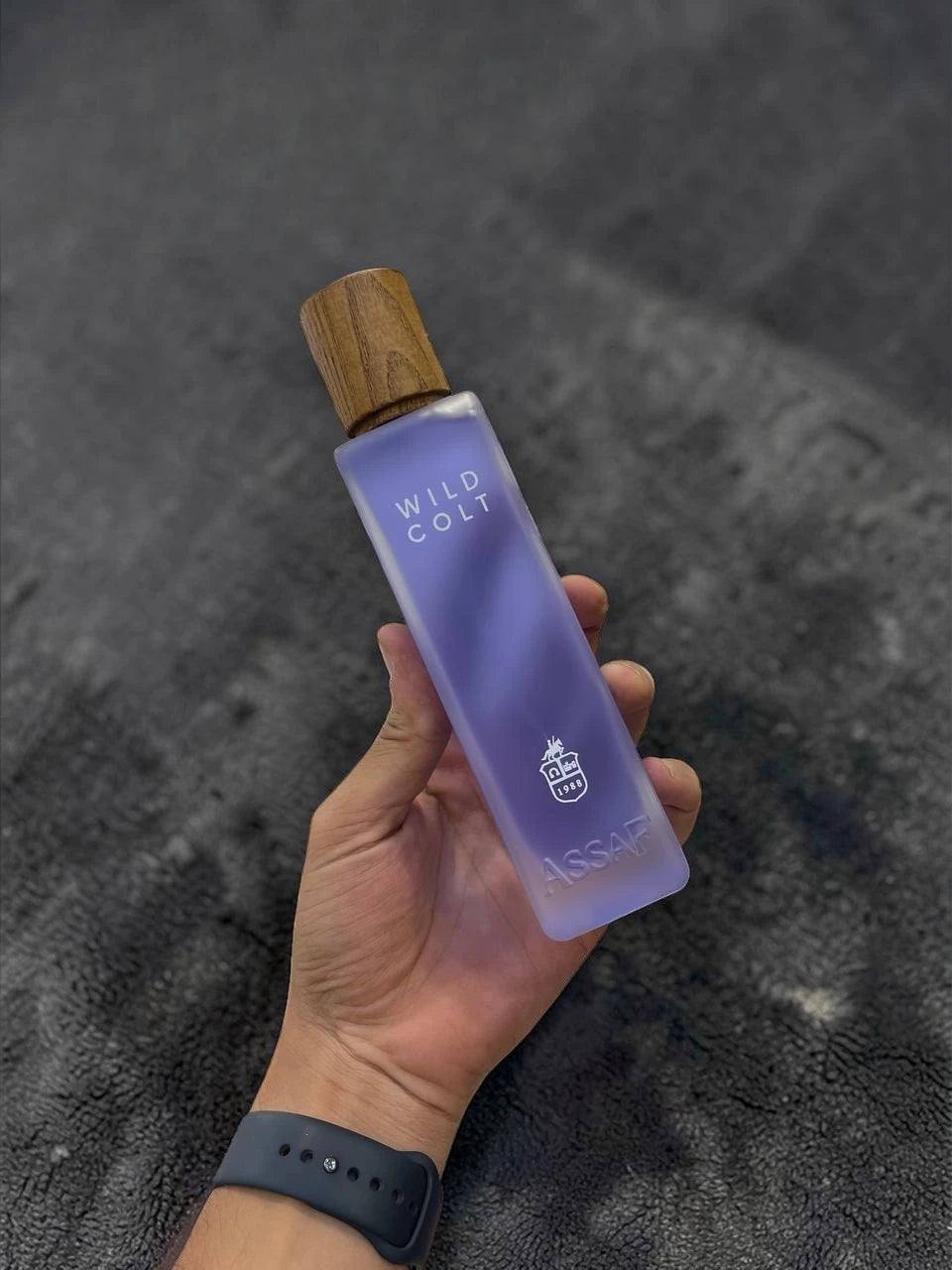WILD COLT ASSAF